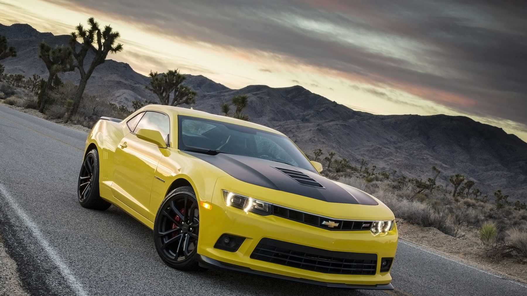 2019 Chevrolet Camaro HD Wallpapers | Background Images ...