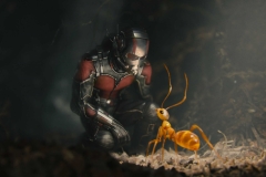 ant-man-6