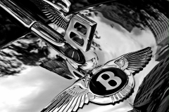 Bentley-Logo-14