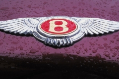 Bentley-Logo-15