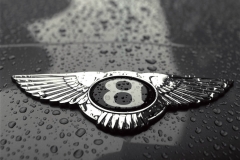 Bentley-Logo-7