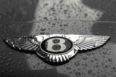 Bentley-Motors-Limited-13