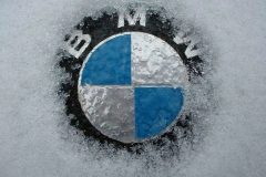 BMW-Logo-3