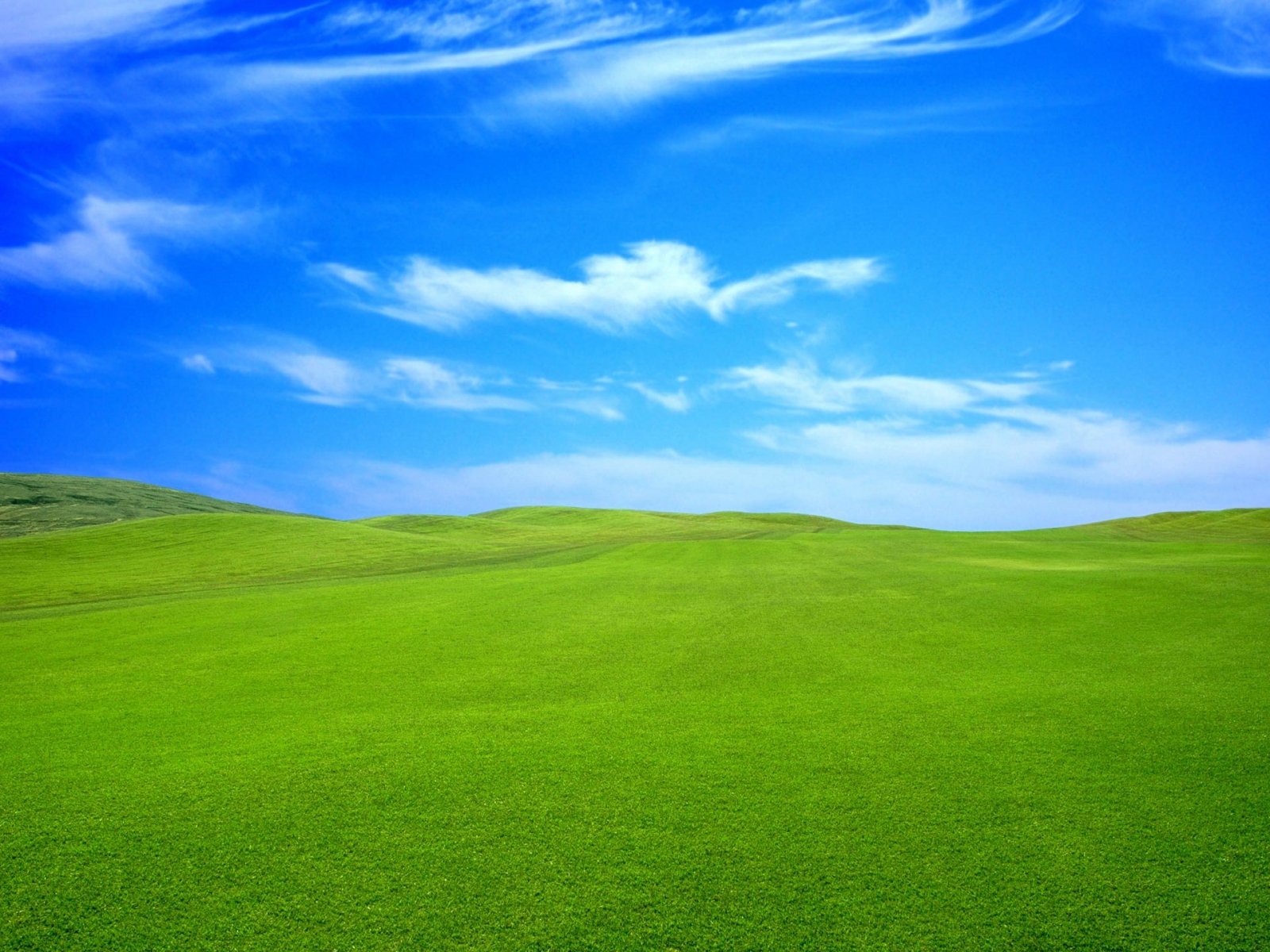 Beautiful grassland HD static wallpaper collection – YL Computing