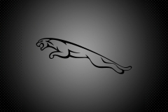 Jaguar-Logo-16