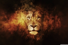 Lion-4