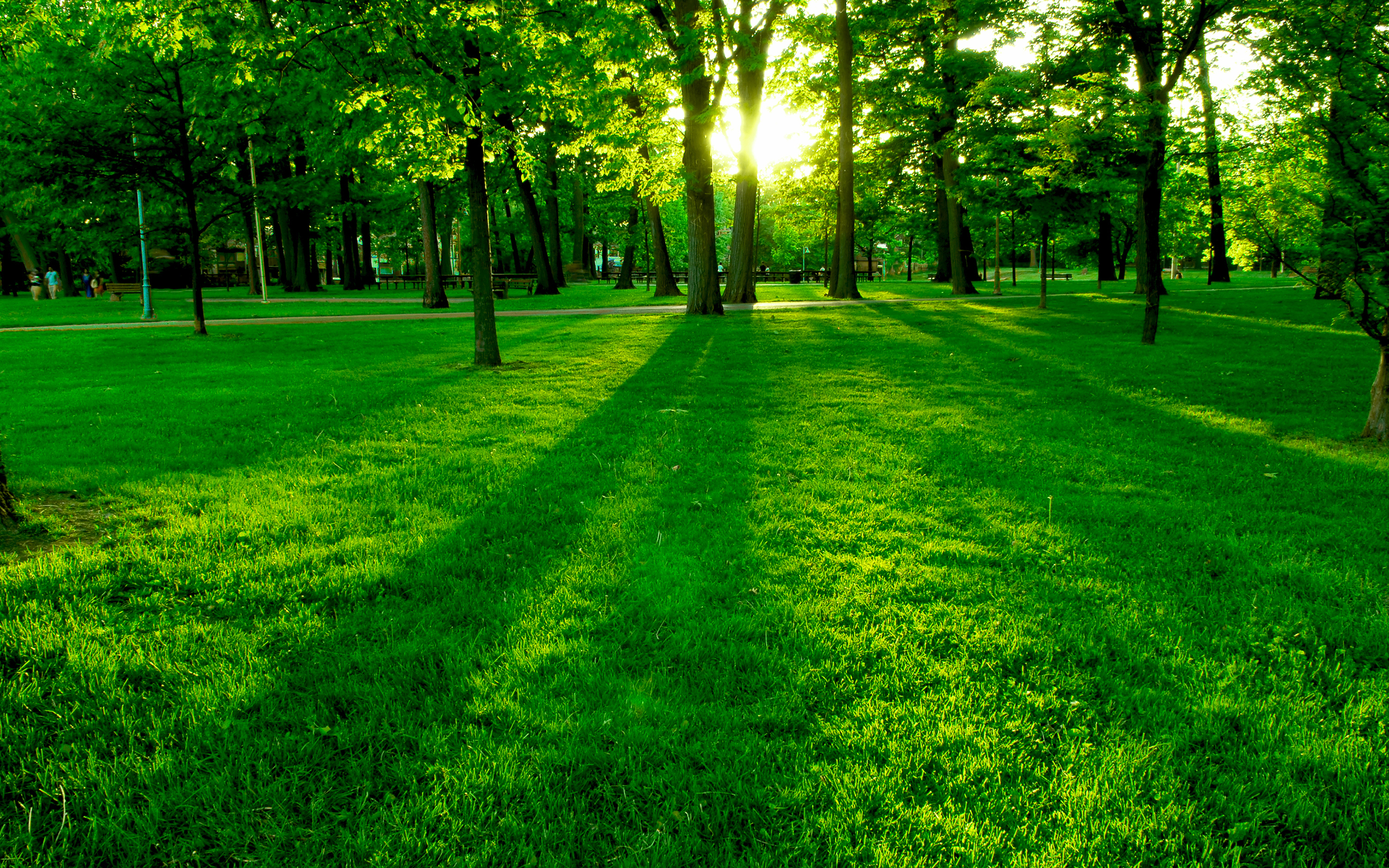 Park Wallpapers HD
