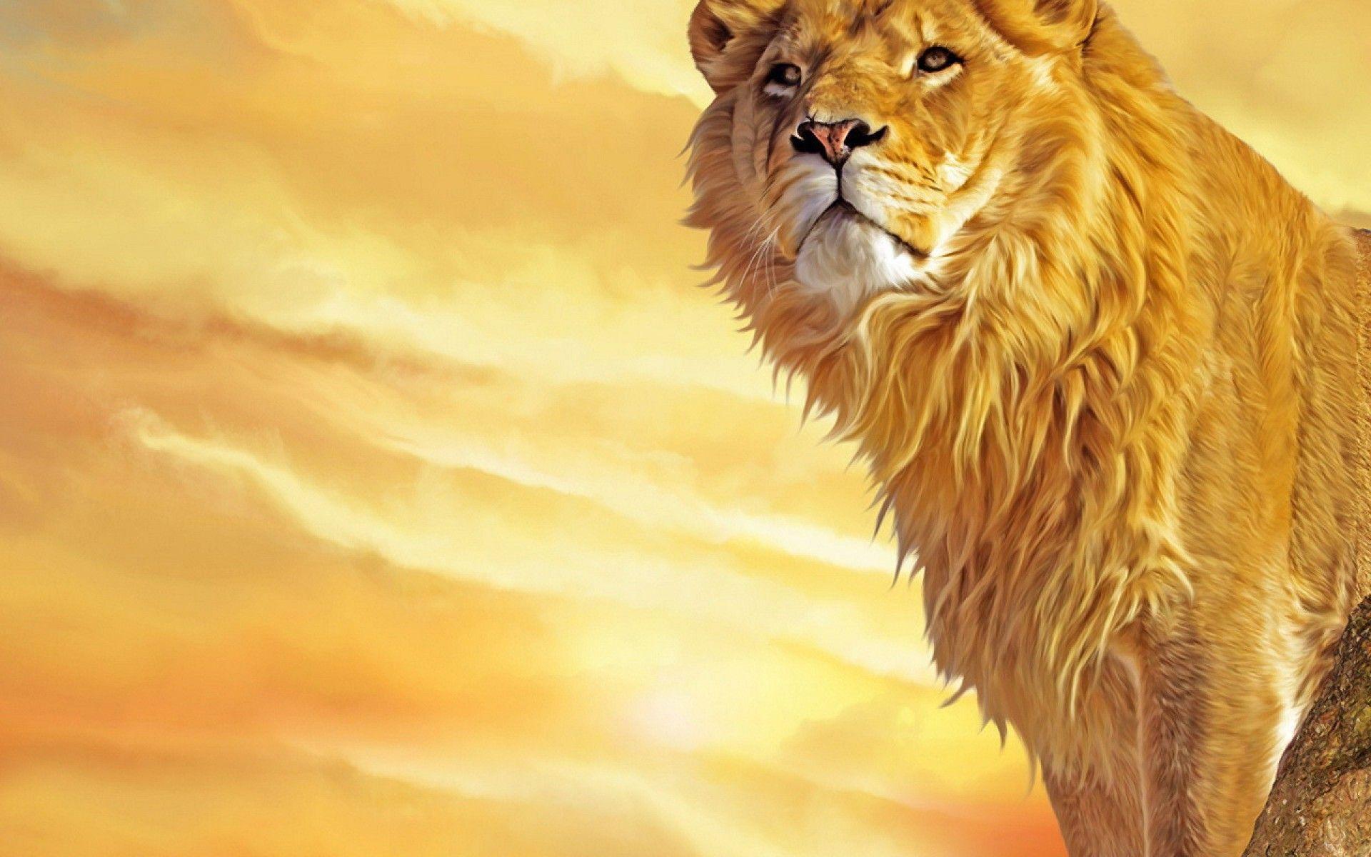 Lion HD Wallpapers | Background Images – YL Computing