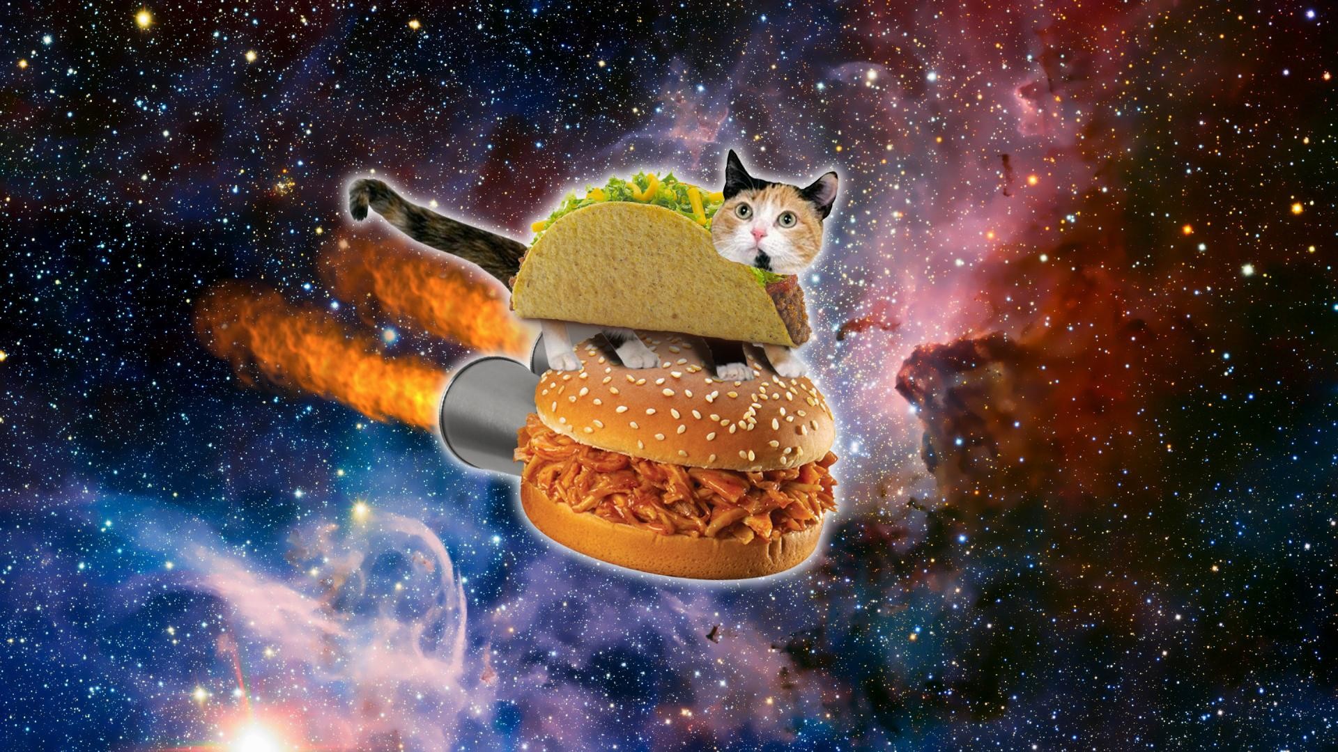 Galaxy Cat Wallpaper 69 images