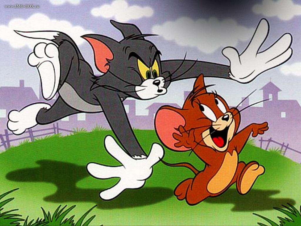Tom  Jerry HD Wallpaper