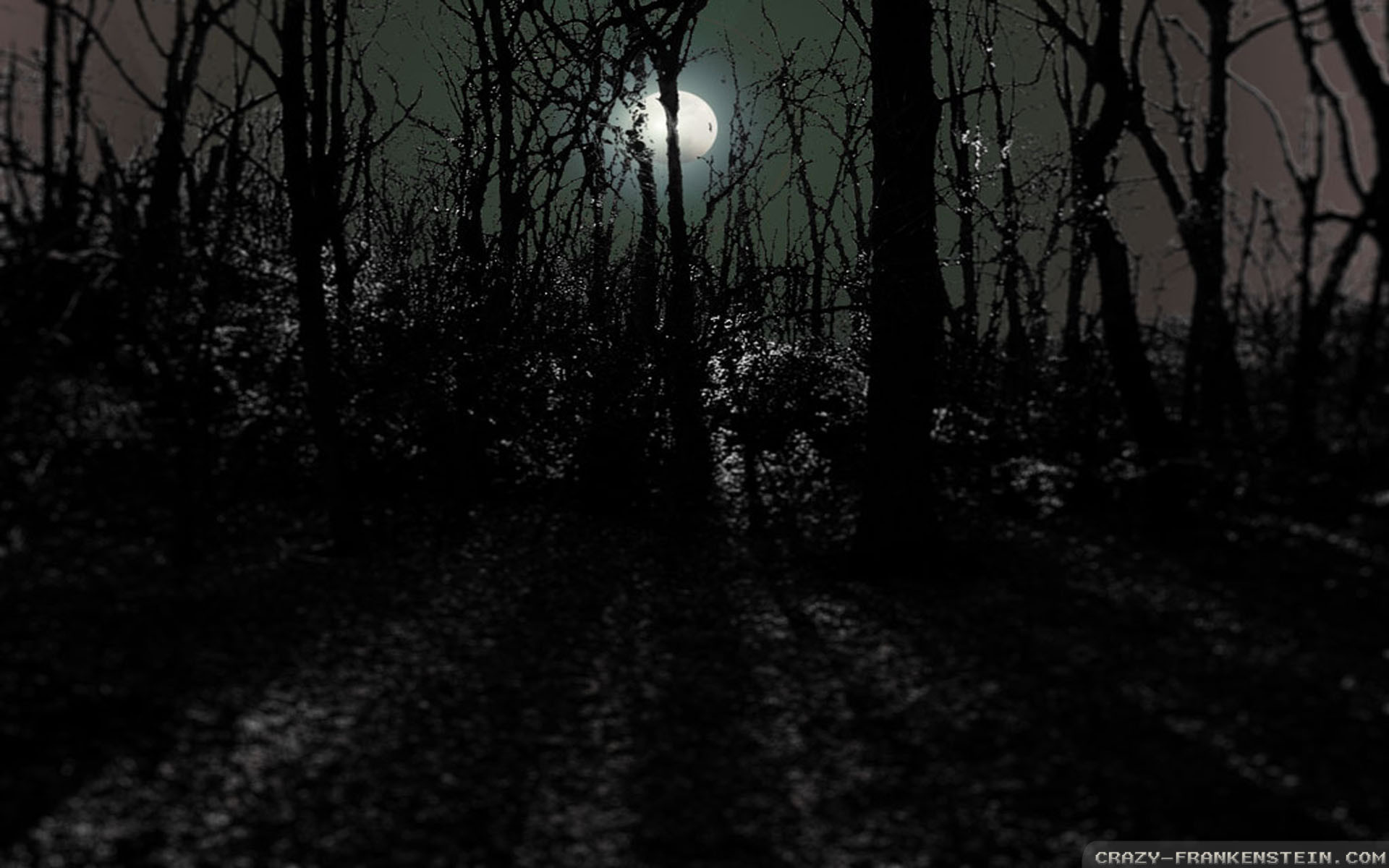 Scary Forest Wallpaper | Backgrounds | Photos | Images | Pictures – YL  Computing