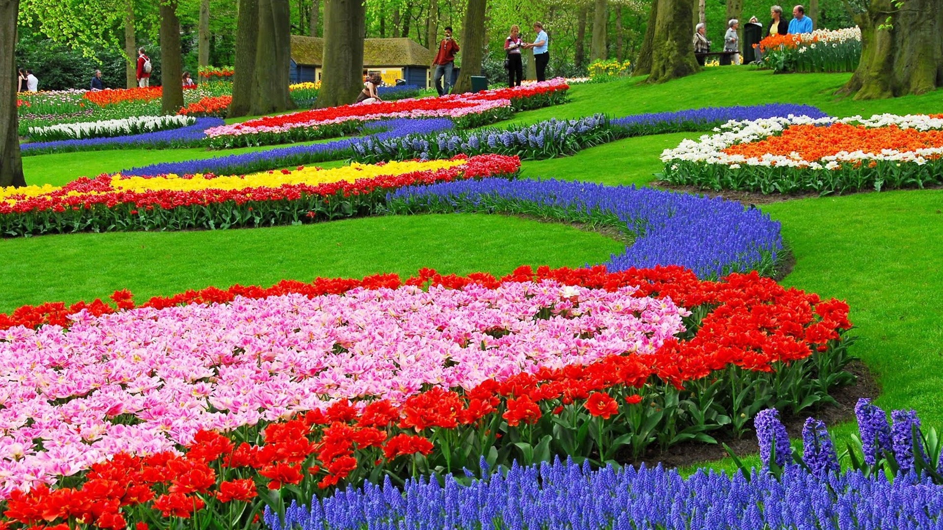 Flower Garden Wallpapers | HD Background Images | Photos | Pictures