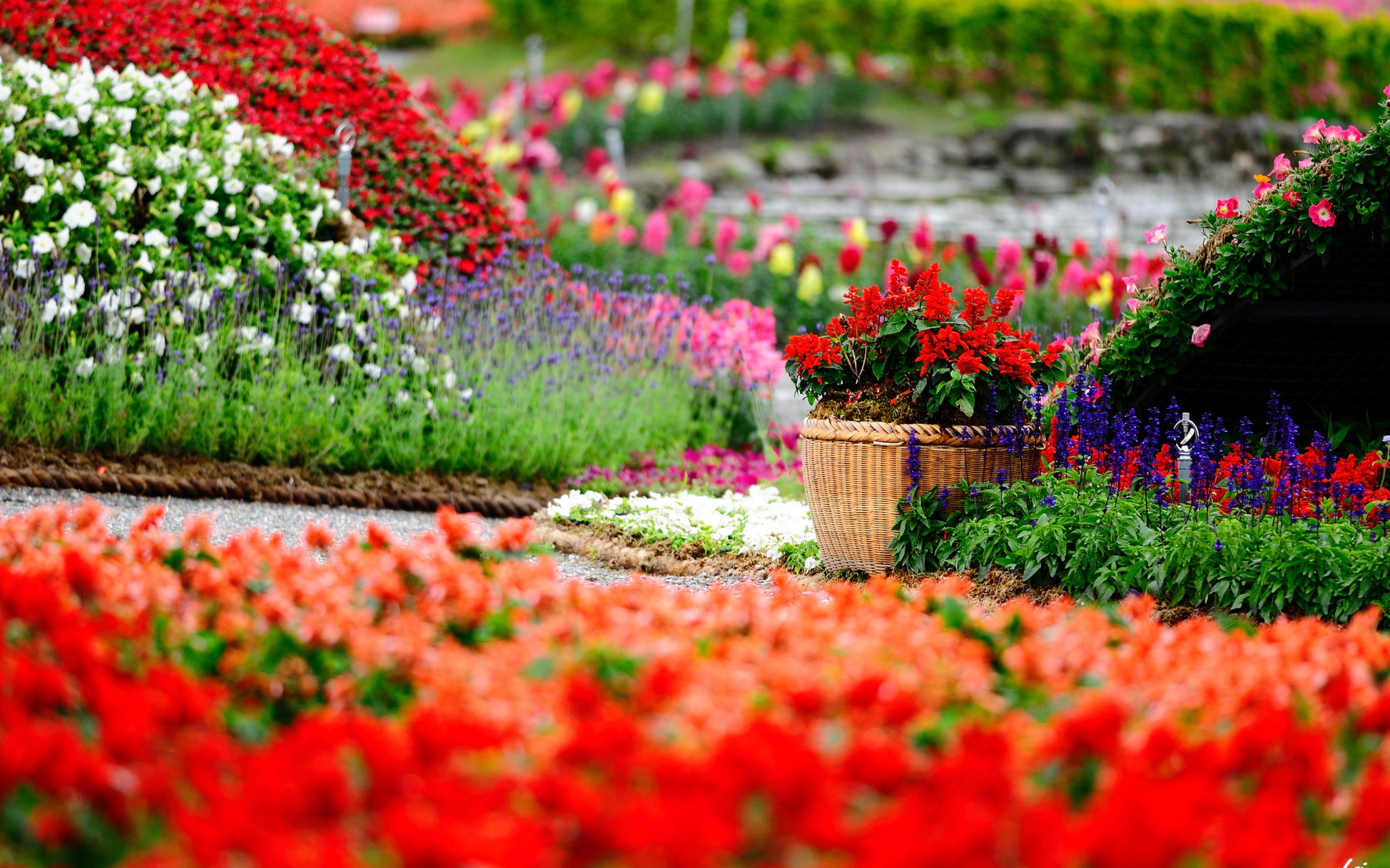 Flower Garden Wallpapers | HD Background Images | Photos | Pictures – YL  Computing