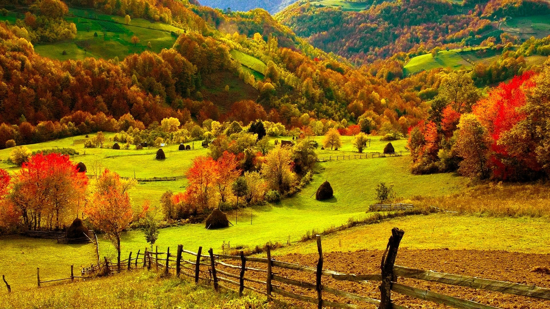 Autumn Ultra HD Desktop Background Wallpaper for  Multi Display Dual  Monitor  Tablet  Smartphone