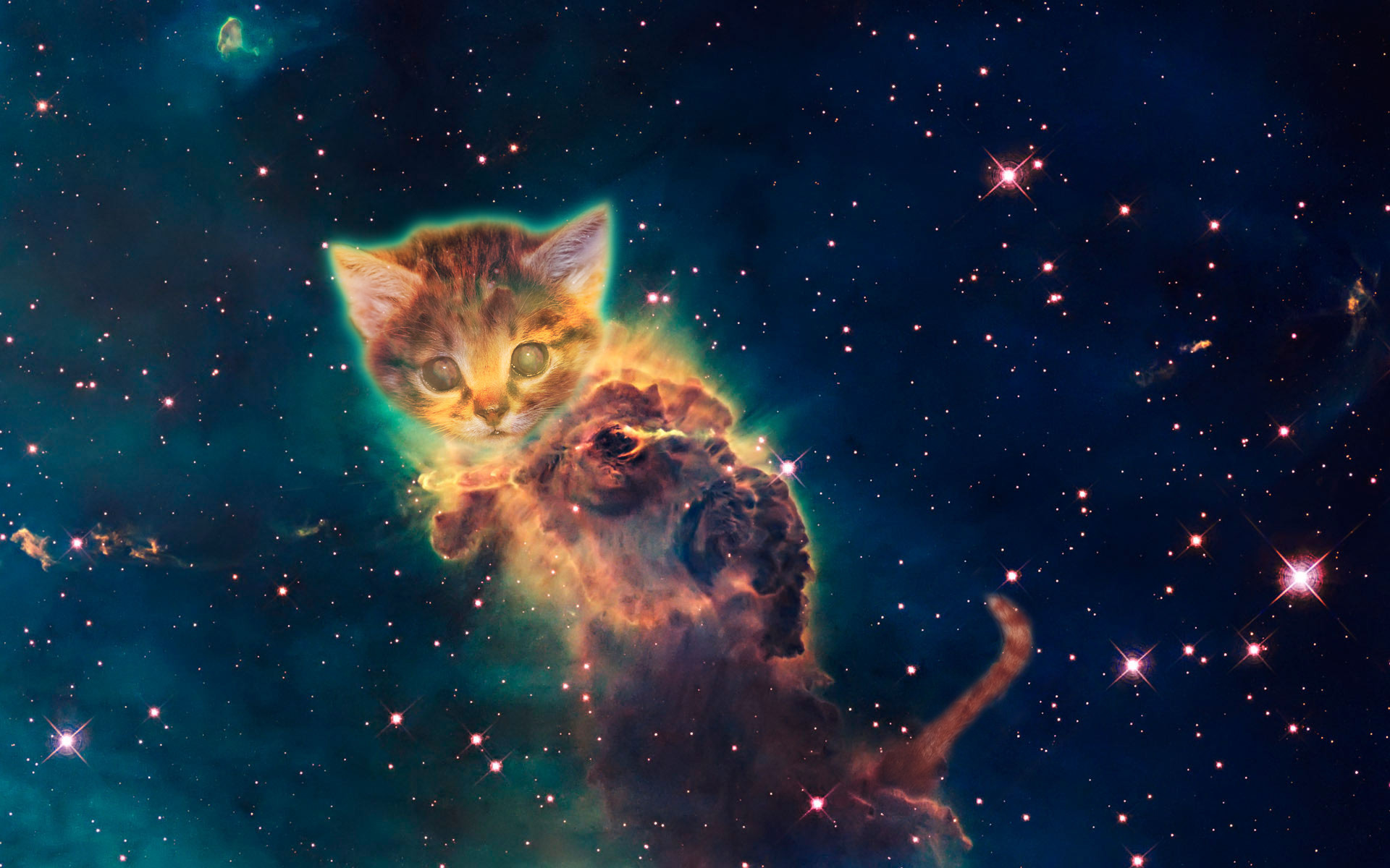 Galaxy Cat Wallpaper | Backgrounds | Photos | Images | Pictures – YL  Computing