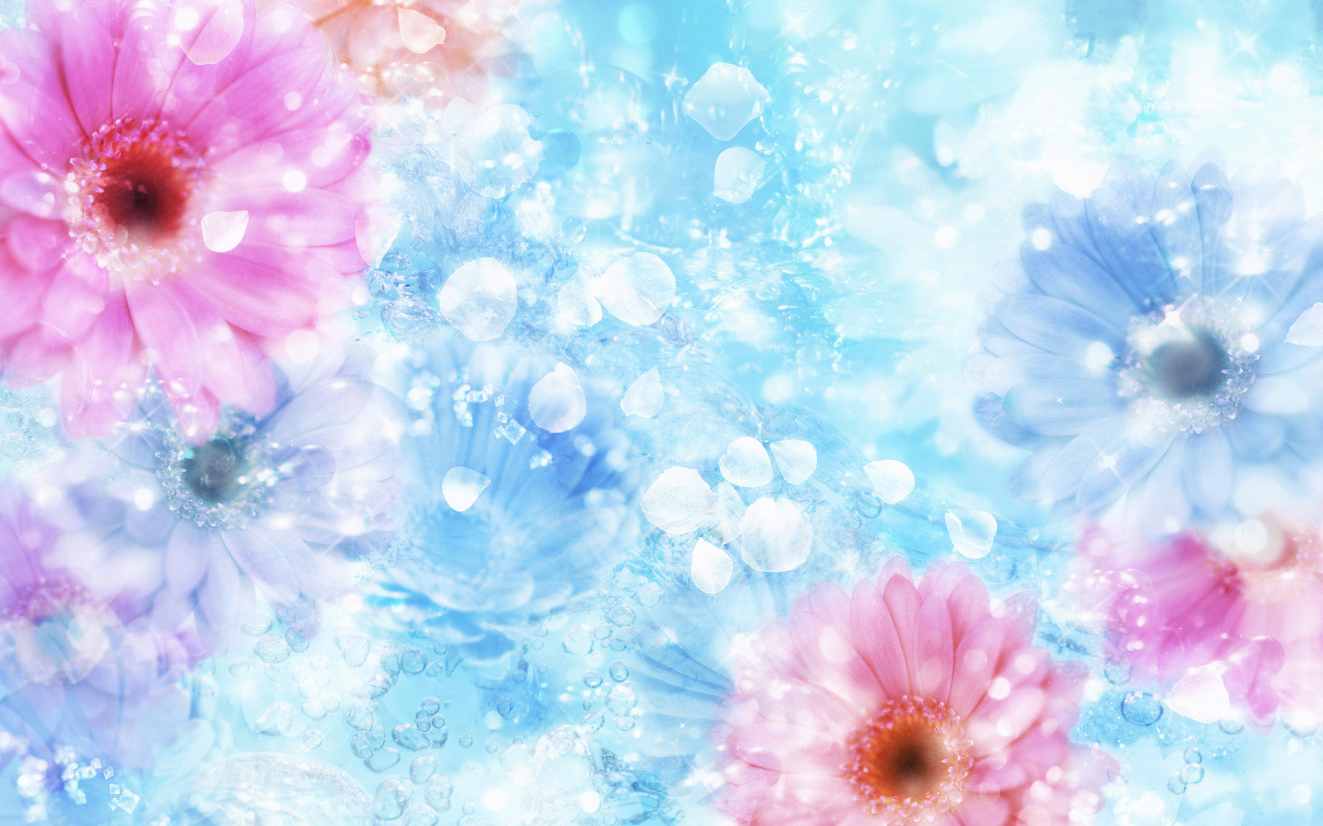 Flowers Backgrounds | HD Background Images | Photos | Pictures – YL  Computing