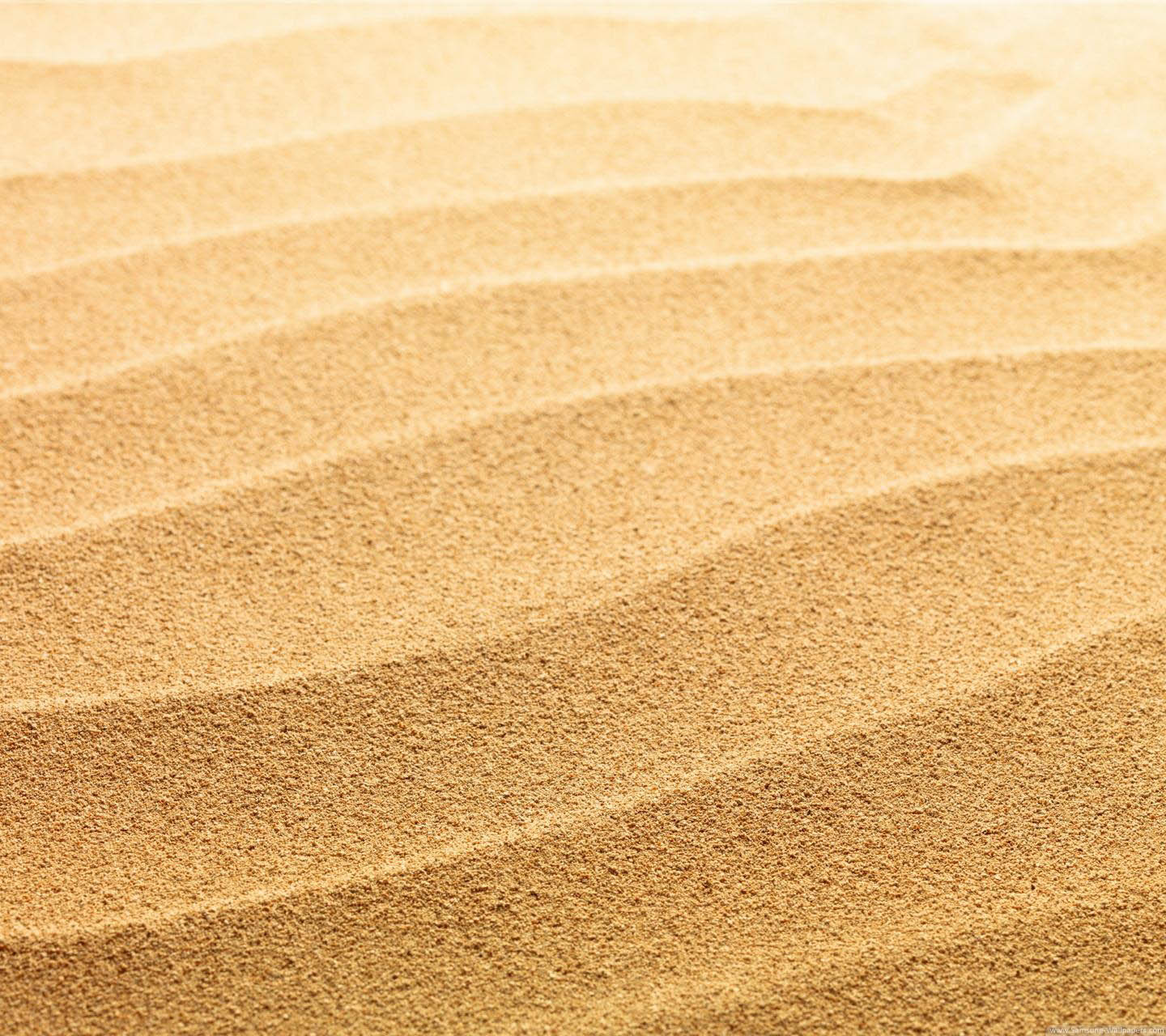 Free download sand wallpaper 22209 22766 hd wallpapersjpg 2560x1600 for  your Desktop Mobile  Tablet  Explore 40 Sand Wallpaper  Sand Dunes  Wallpaper Sand Beach Wallpaper Beach Sand Wallpaper