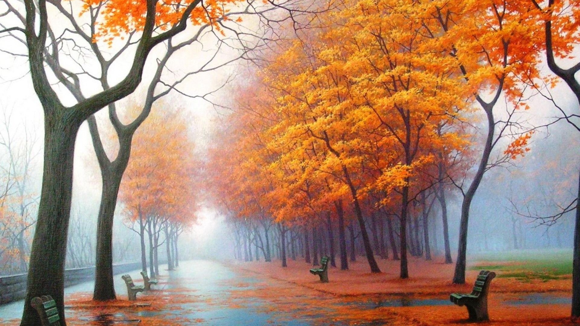 536562 1920x1080 autumn wallpaper android JPG 611 kB  Rare Gallery HD  Wallpapers