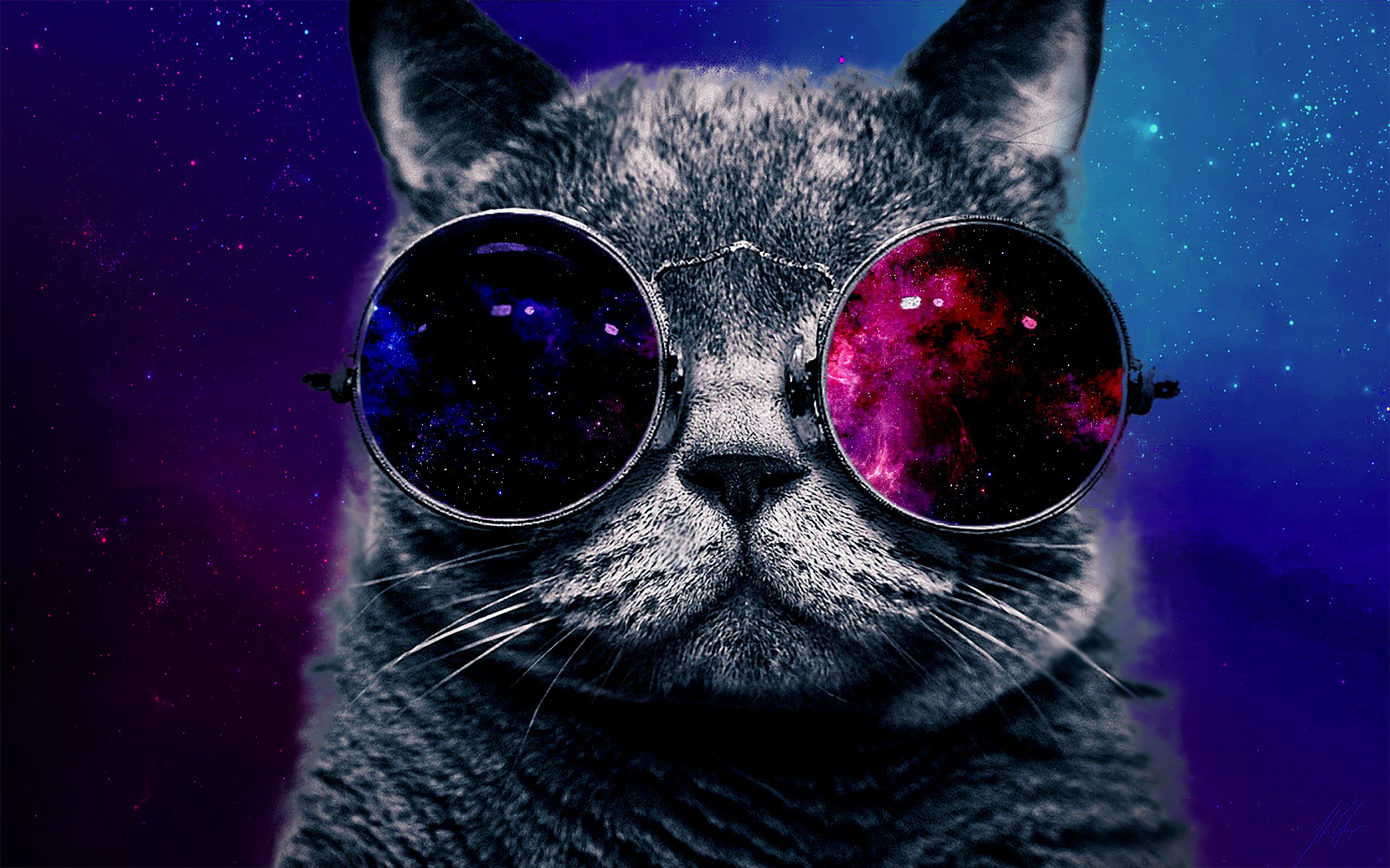 Galaxy Cat Wallpaper | Backgrounds | Photos | Images | Pictures – YL