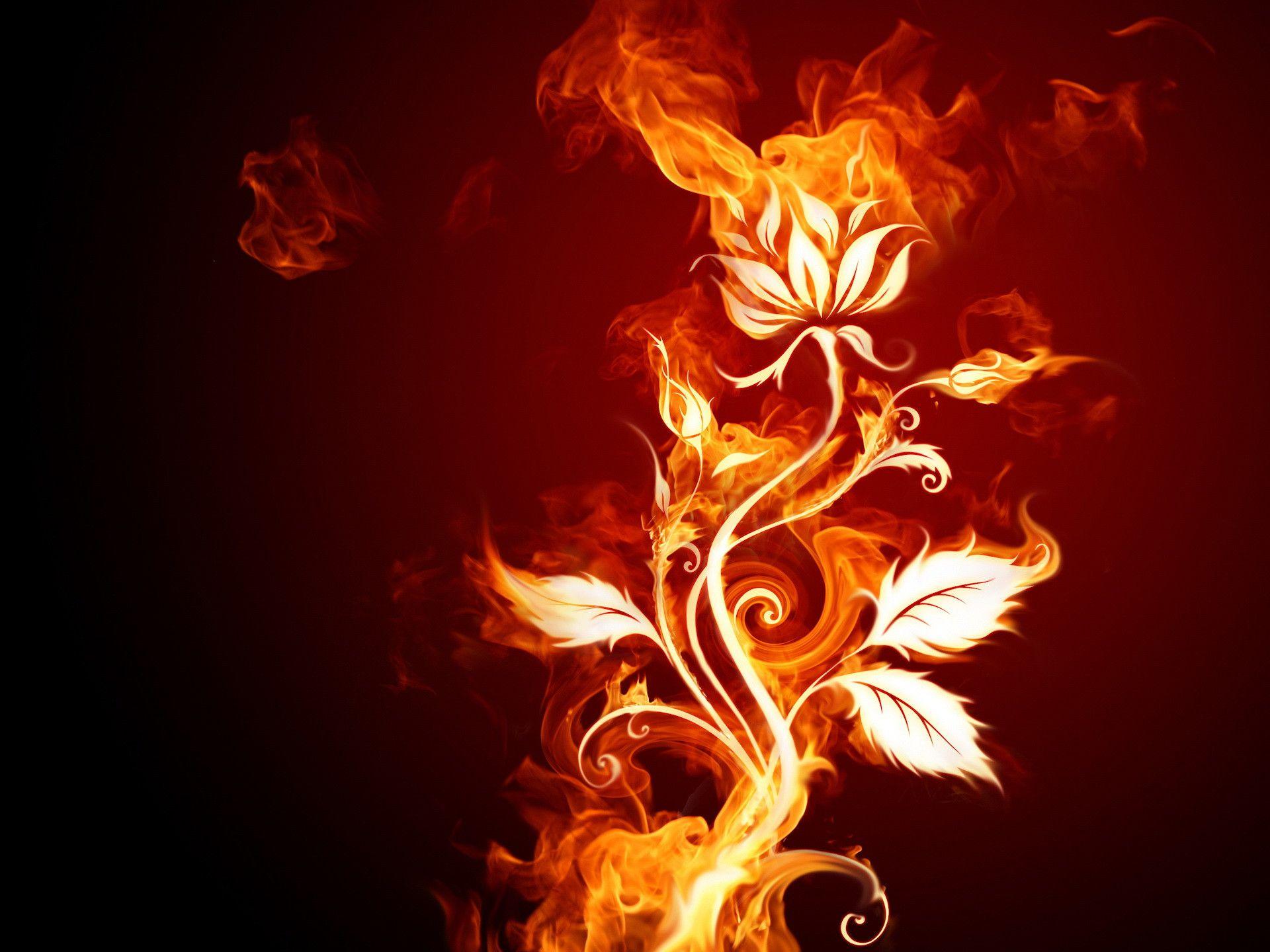 Flower On Fire Background Images and Wallpapers – YL Computing