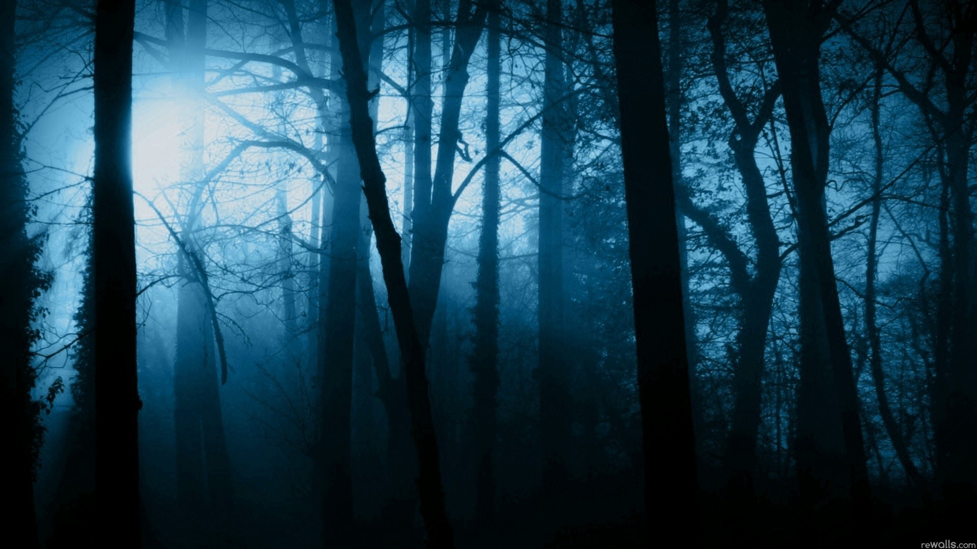 Scary Forest Wallpaper | Backgrounds | Images | Photos | Pictures – YL  Computing
