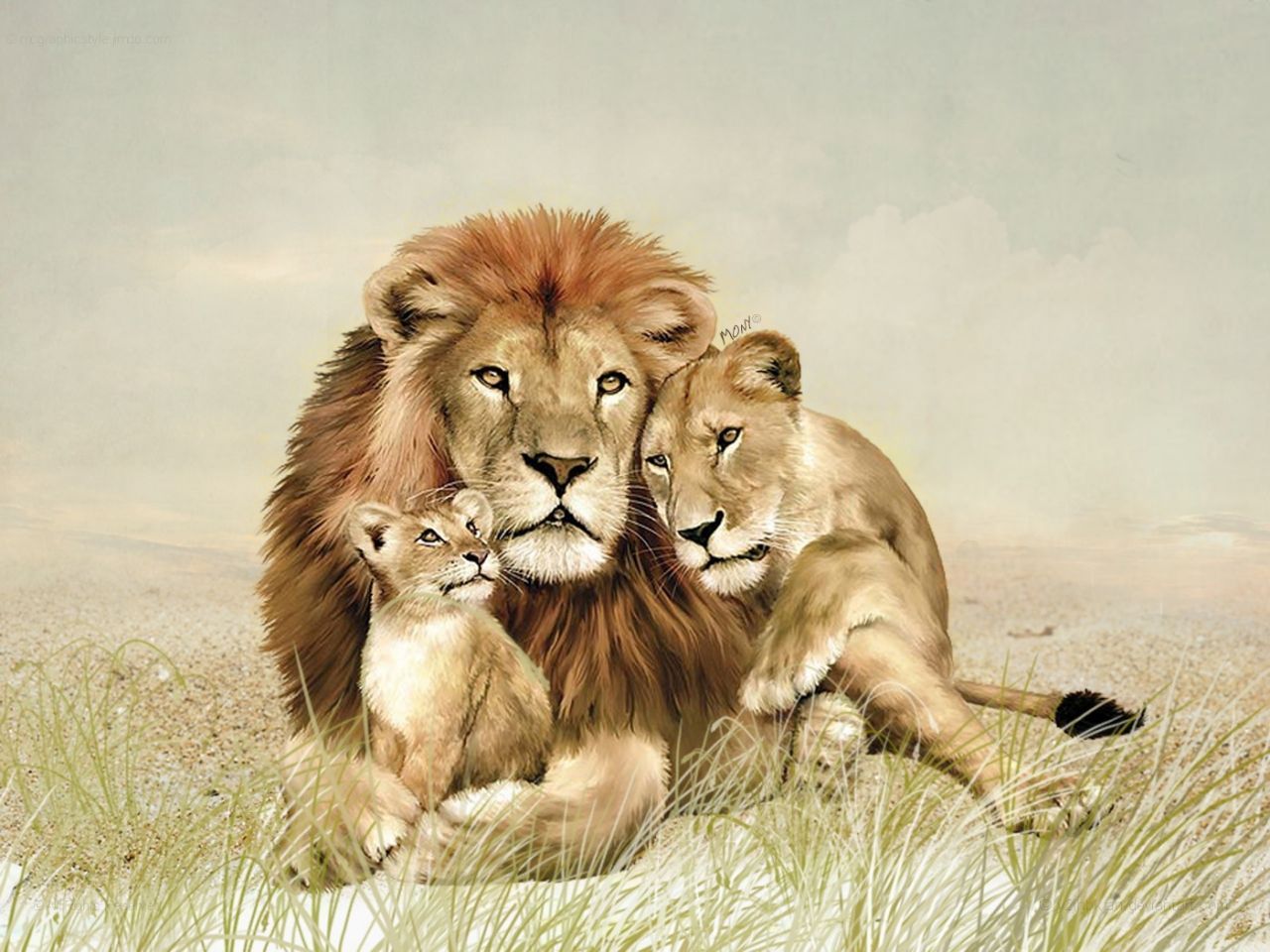 Lion And Family Background Images and Wallpapers – YL Computing